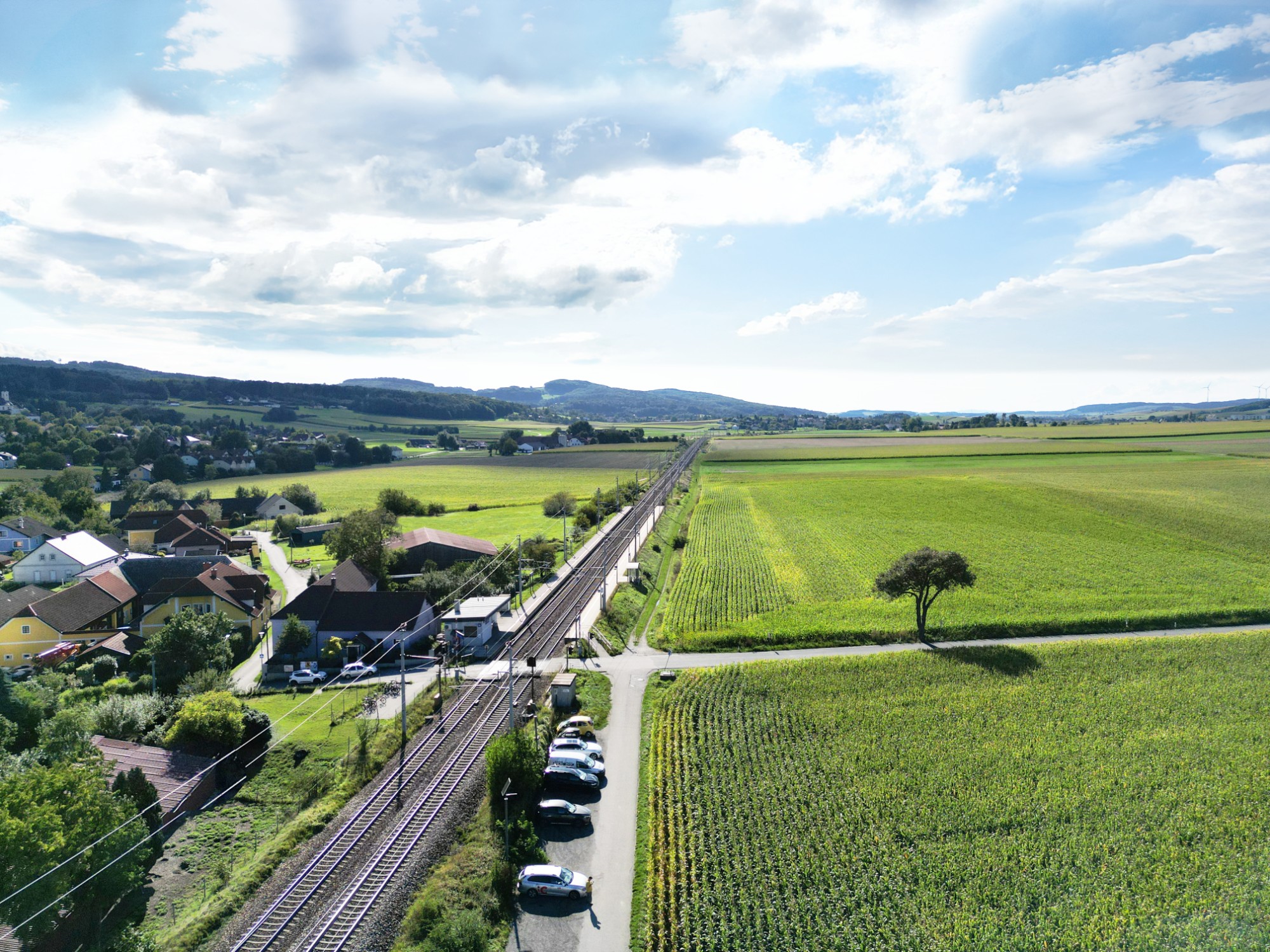 Ollersbach — Drohnenaufnahme des Bestands